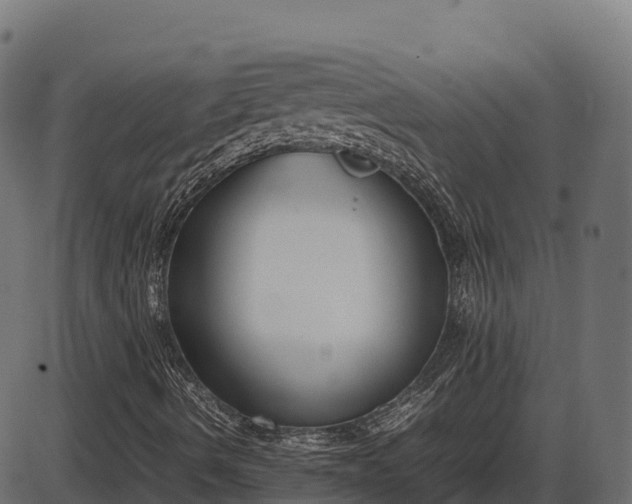 X0000086311490200704091033