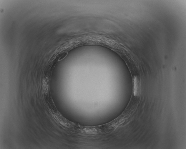 X0000086311491200704091033