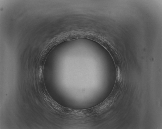 X0000086311492200704091033