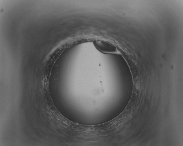 X0000086311495200704091033