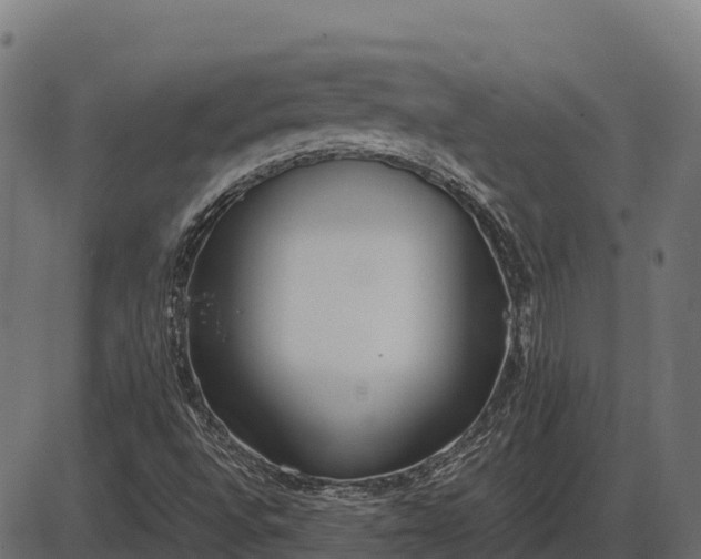 X0000086311496200704091033