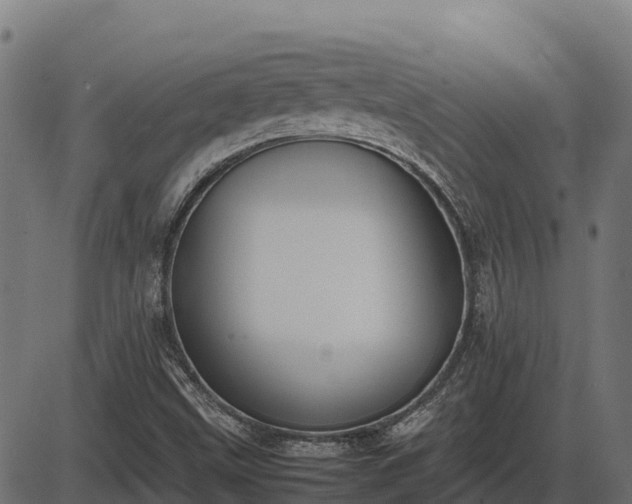 X0000086311499200704091033