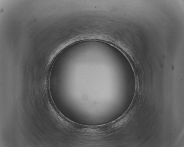X0000086311500200704091033