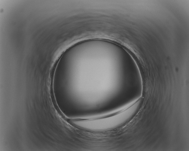 X0000086311508200704091033