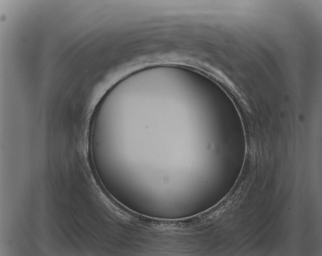 X0000086311512200704091033