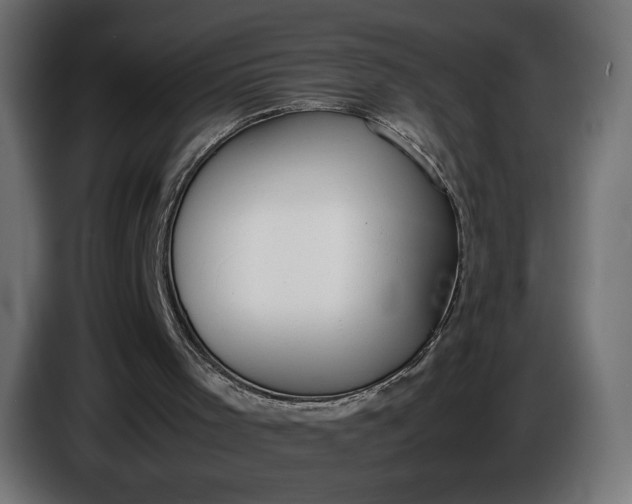 X0000086310001200704131642