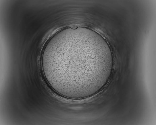 X0000086310002200704131642