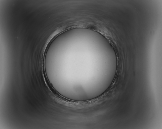 X0000086310003200704131642