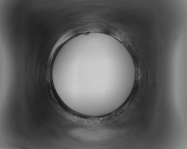 X0000086310004200704131642