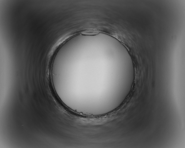X0000086310005200704131642