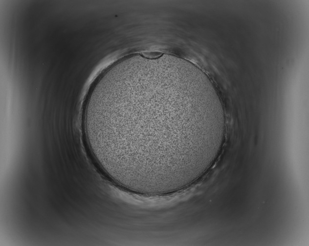 X0000086310006200704131642