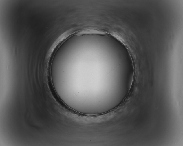 X0000086310007200704131642