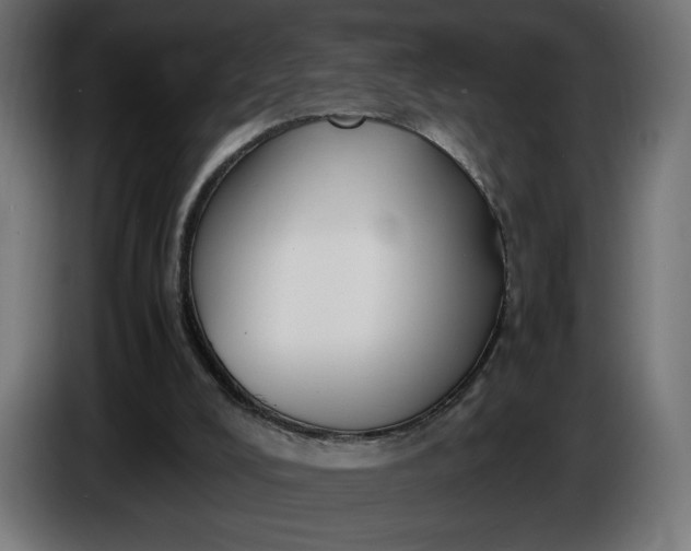 X0000086310008200704131642