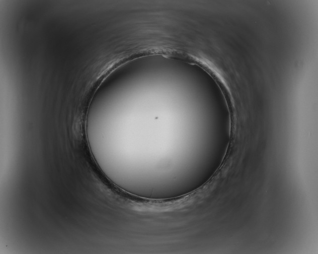 X0000086310009200704131642