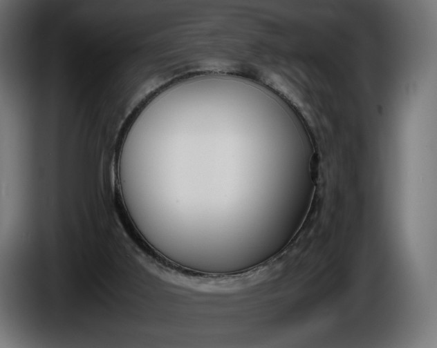 X0000086310011200704131642