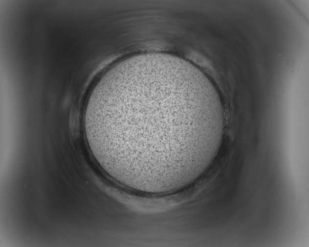 X0000086310012200704131642