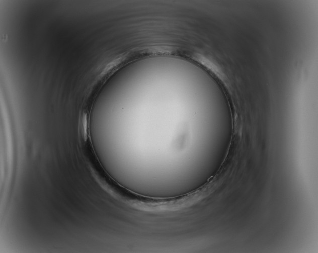X0000086310013200704131642