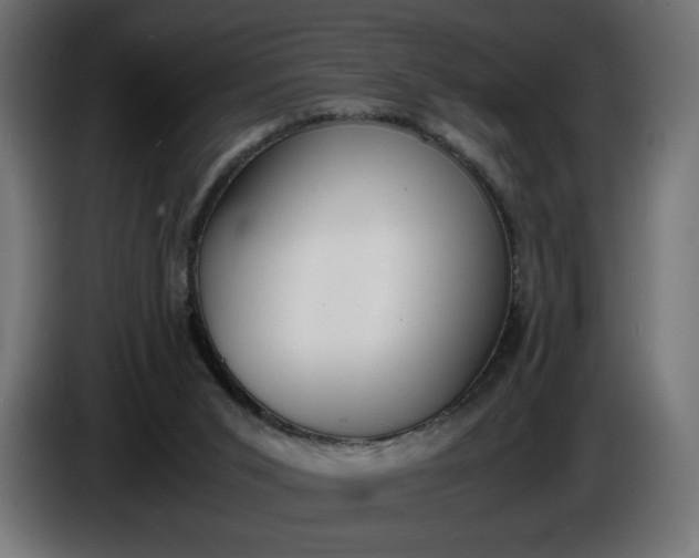 X0000086310015200704131641