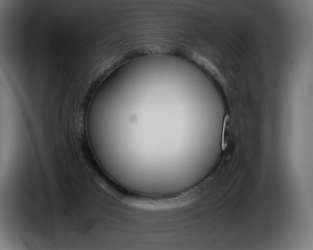 X0000086310017200704131641
