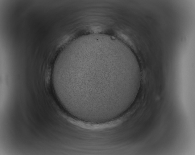 X0000086310018200704131641