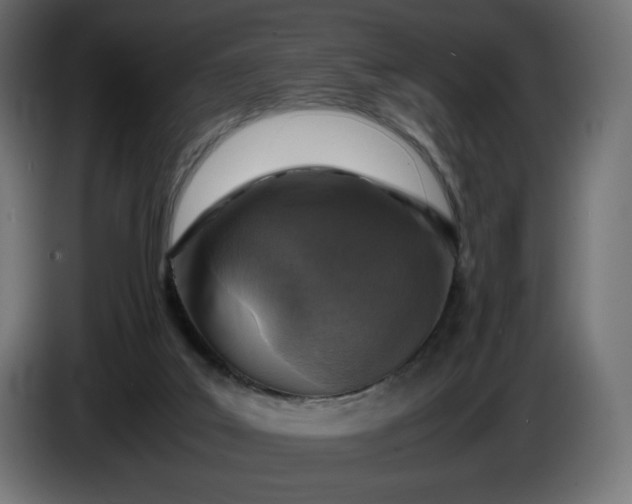 X0000086310019200704131641