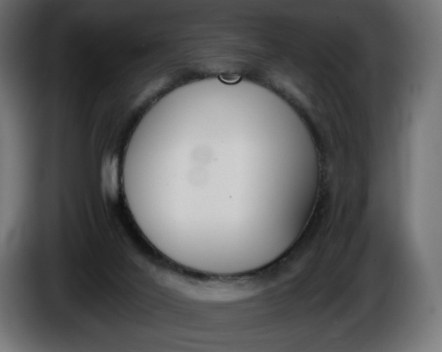 X0000086310020200704131641