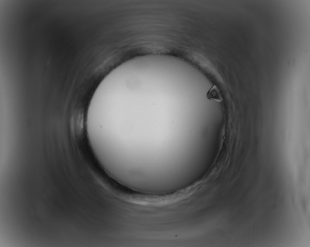 X0000086310021200704131641