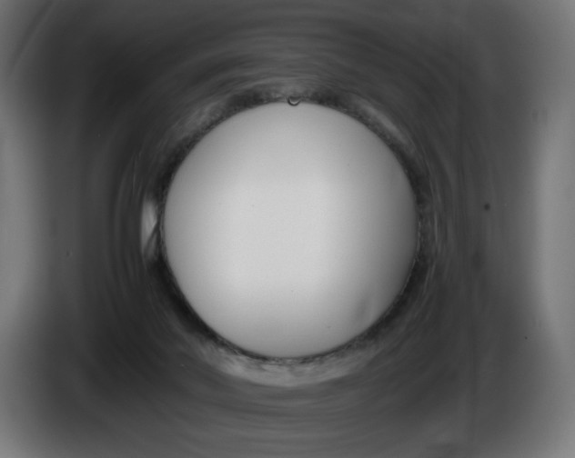 X0000086310022200704131641