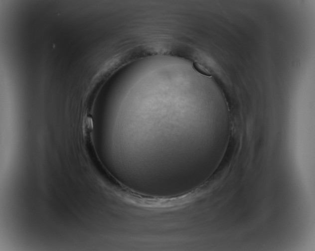 X0000086310023200704131641