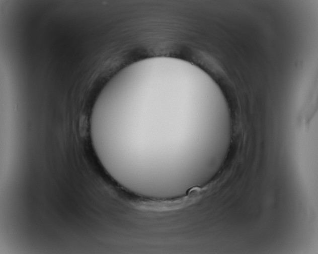 X0000086310025200704131641
