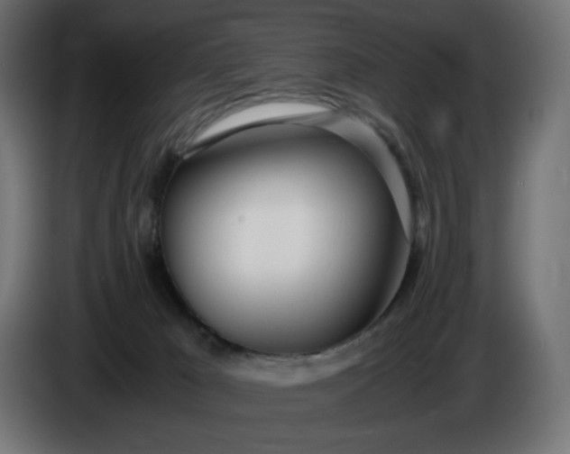 X0000086310029200704131641