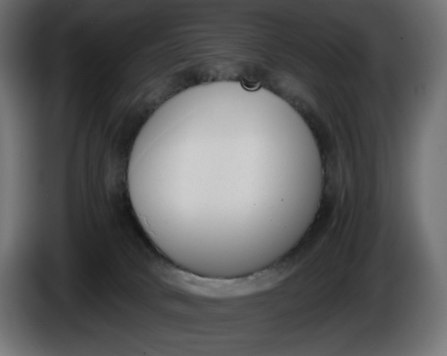 X0000086310034200704131641