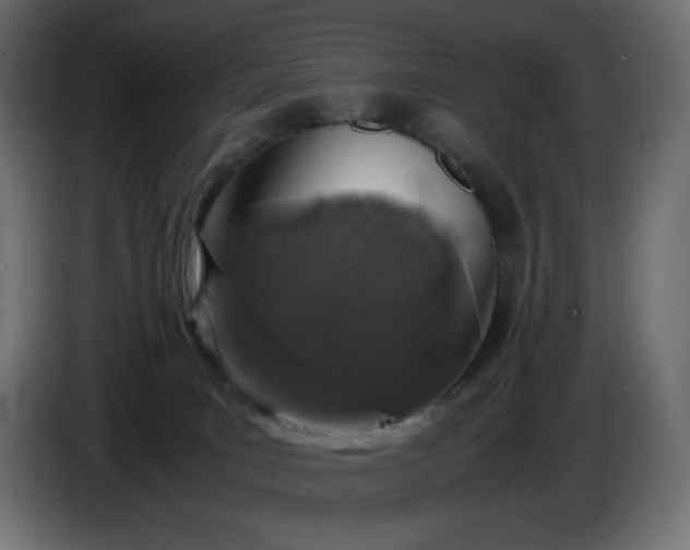 X0000086310035200704131641