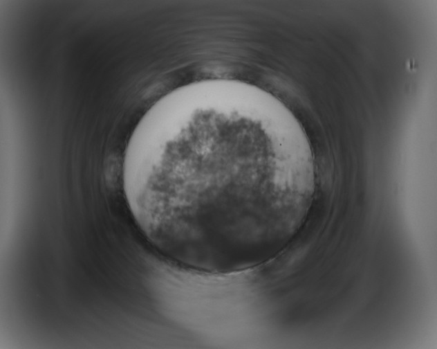 X0000086310036200704131641