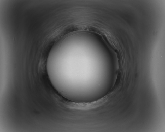 X0000086310037200704131641