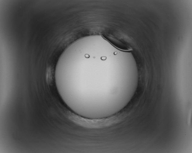 X0000086310038200704131641