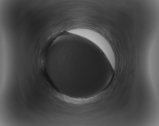 X0000086310039200704131641