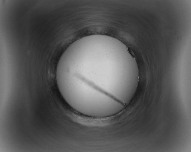 X0000086310040200704131641
