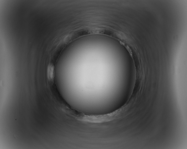 X0000086310041200704131641