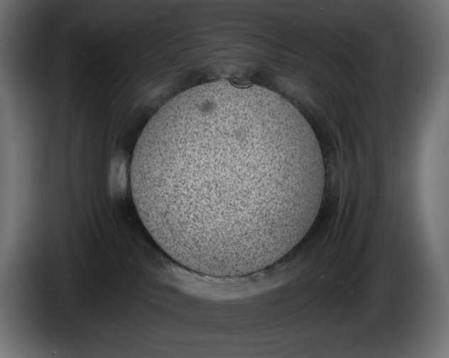 X0000086310042200704131641
