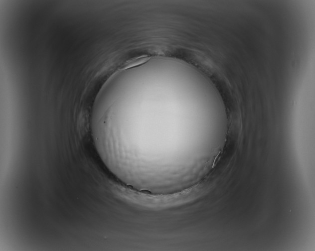 X0000086310043200704131641
