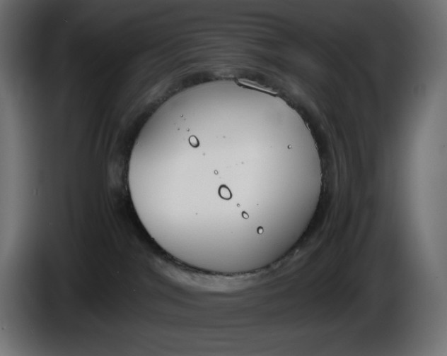 X0000086310044200704131641