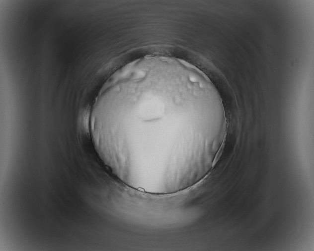 X0000086310047200704131641