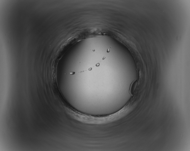 X0000086310048200704131641