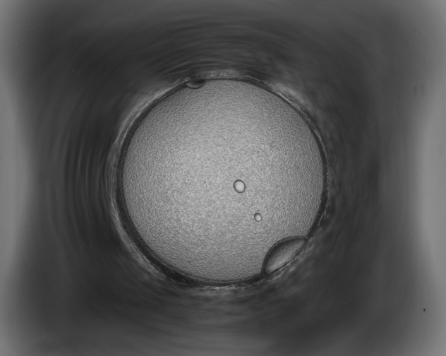 X0000086310049200704131640
