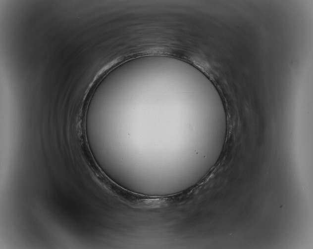 X0000086310050200704131640