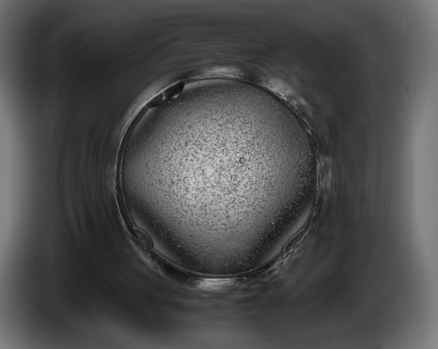 X0000086310051200704131640