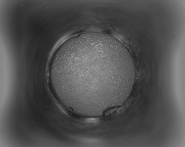 X0000086310053200704131640