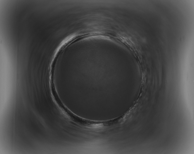 X0000086310054200704131640