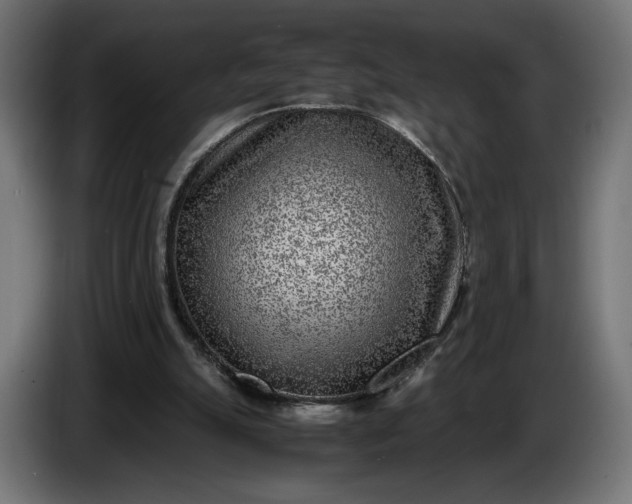 X0000086310055200704131640